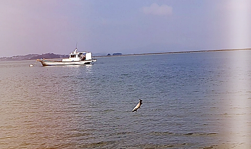 8c22fd20f365e7928fabd5554ba749c3_1581777617_0949.jpg