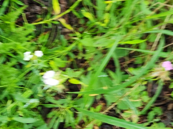 b029355d778076eb5172b02eac5ebf44_1689045286_2703.jpg