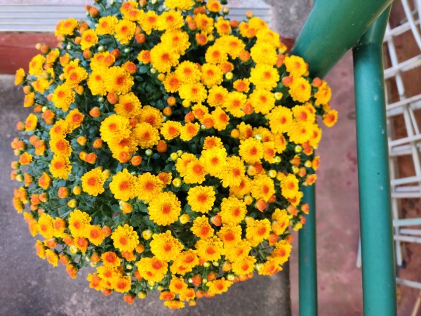 a31817c40ee89876e36cbc3ea2e822e8_1696977568_8301.jpg