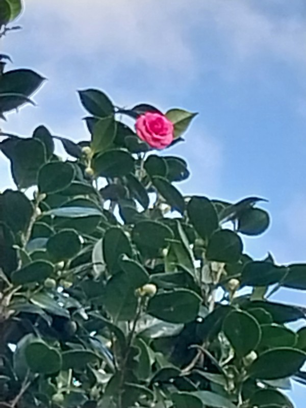 7c50e60c400d657707071c41c7879373_1700002908_5066.jpg