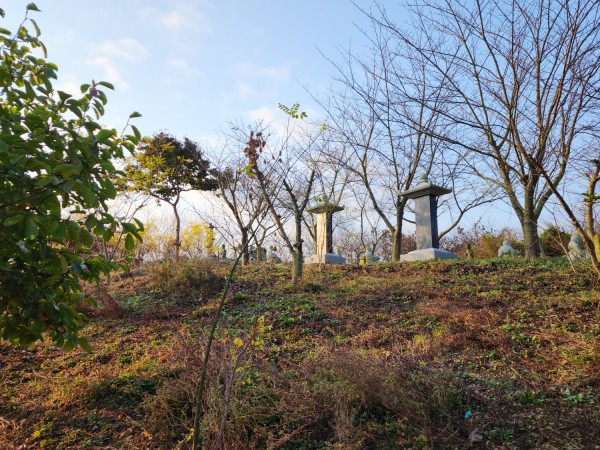 adb55e59e8c4e858808af4f688df9892_1699570499_3293.jpg