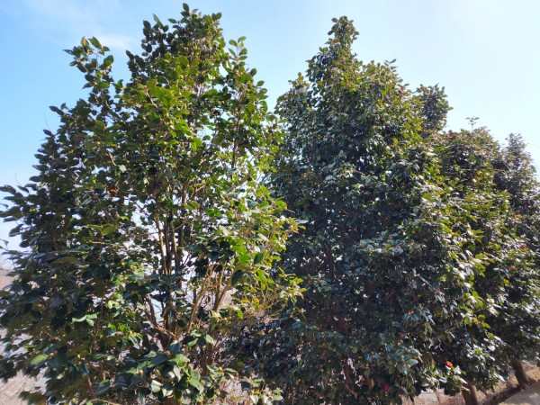 5b8957fa38e352c380da3e0ee8ee7448_1707342442_3576.jpg