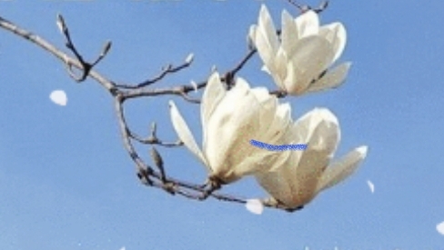 1cd07db93457c765fe7bf1a08be10e8c_1712156426_7295.jpg