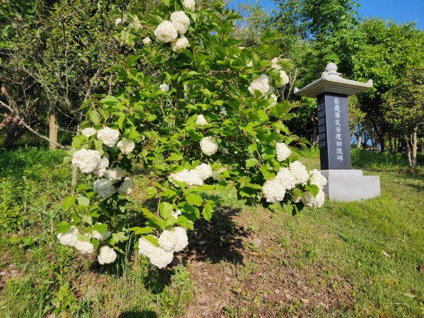 eb78993eebdf5feceed8b9769ebb70f1_1715375410_6592.jpg