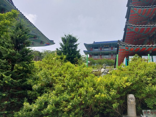 d36096f027354ffd8d67c7e9de8e092f_1719353712_0001.jpg