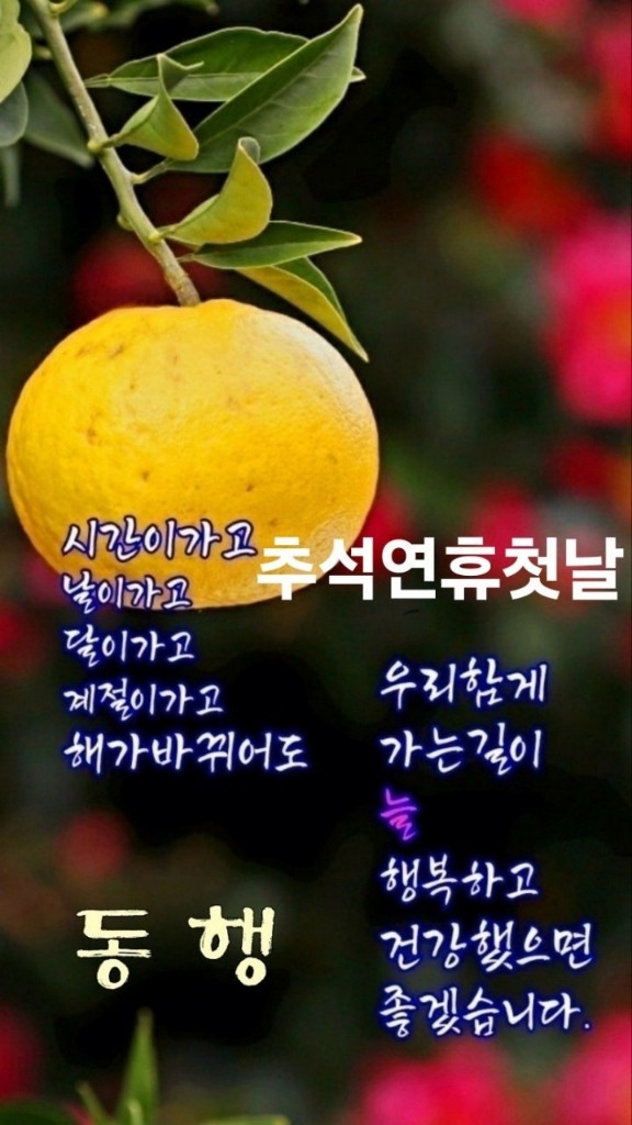 b11ae98c445bfb9c43c54836946145c4_1726444280_4459.jpg