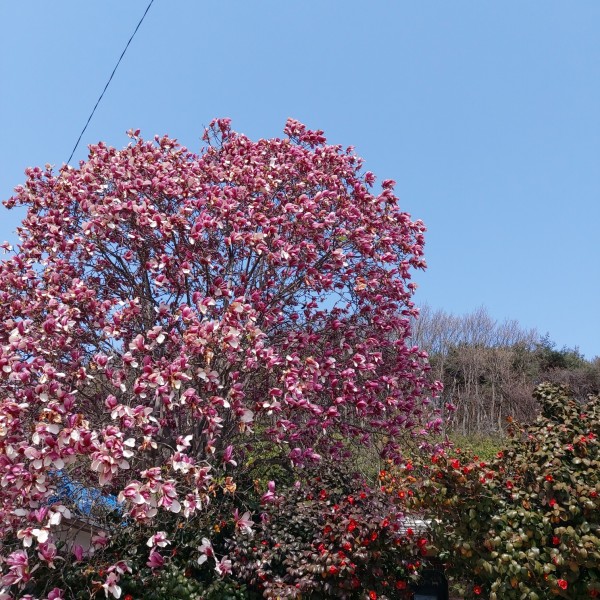 d76ffb48fe653e96d895bee92cf9ca6c_1726625347_2585.jpg