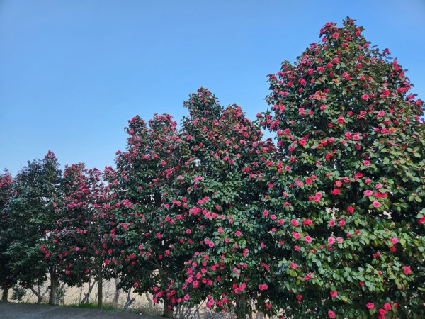 1ac63d5d6c2ea8a3d010116859ea9627_1743980697_6173.jpg